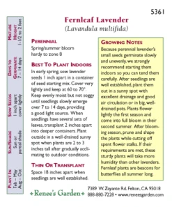 Renee's Garden Lavender Fernleaf 7 Renee's Garden Lavender Fernleaf -Felo Butik 5361 pb