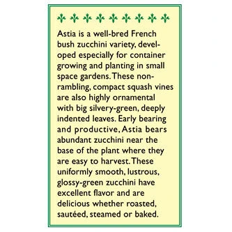 Renee's Garden Squash Summer Zucchini Astia 4 Renee's Garden Squash Summer Zucchini Astia - Billede 2