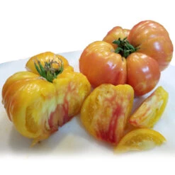 Big Rainbow Tomato Seeds (Organic) -Felo Butik big rainbow sliced