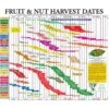 Fruit Tree Harvest Chart -Felo Butik fruit tree harvest chart