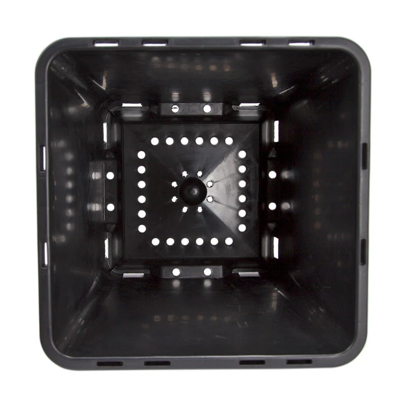 Blueberry Pot (14" Sq) 4 Blueberry Pot (14" Sq) - Billede 2