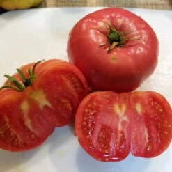 Mortgage Lifter Tomato Seeds (Organic) -Felo Butik mortgage lifter web sliced