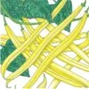 Organic Bean, Bush Gold Rush Yellow Wax (1/2 Lb) -Felo Butik organic bean bush gold rush yellow wax 1 2 lb