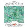Collard Old Timey Blue Greens Seeds (Organic) -Felo Butik organic collard greens old timey blue