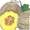 Organic Melon, Hearts Of Gold (1/4 Lb) 2 Organic Melon, Hearts Of Gold (1/4 Lb) -Felo Butik organic melon hearts of gold 1 4 lb