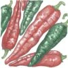 Organic Pepper, Hot New Mexico Joe Parker (1 Oz) 1 Organic Pepper, Hot New Mexico Joe Parker (1 Oz) -Felo Butik organic pepper hot new mexico joe parker 1 oz