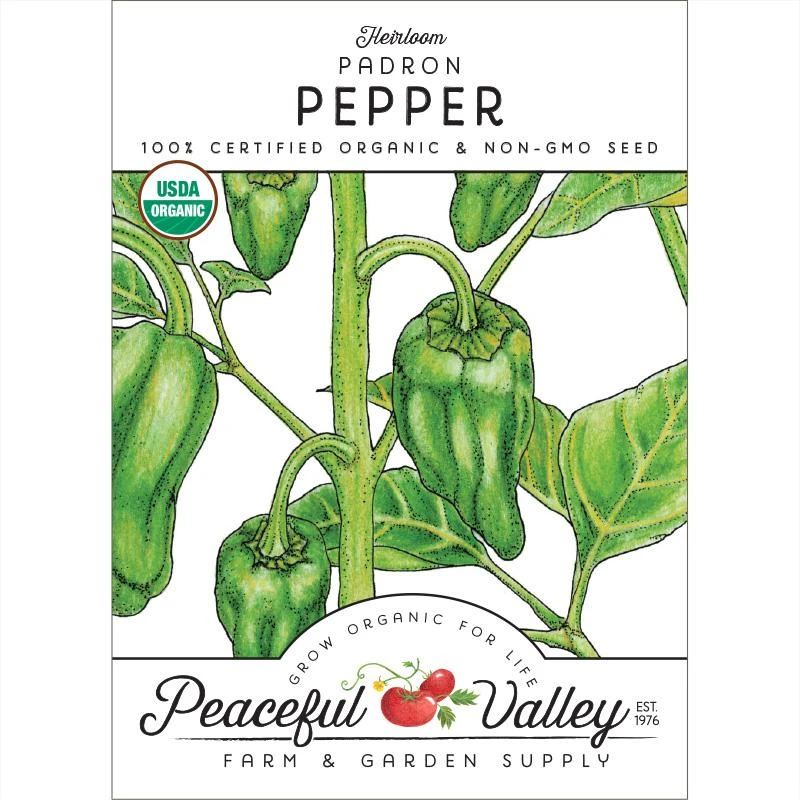 Padron Pepper Seeds (Organic) 3 Padron Pepper Seeds (Organic)