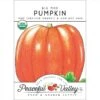 Big Max Pumpkin Seeds (Organic) -Felo Butik organic pumpkin big max
