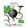 Black Spanish Radish Seeds (Organic) 2 Black Spanish Radish Seeds (Organic) -Felo Butik organic radish black spanish