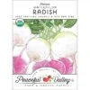 Watermelon Radish Seeds (Organic) -Felo Butik organic radish watermelon