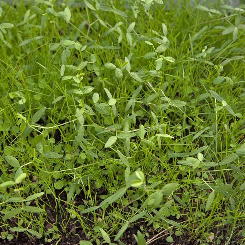 Peaceful Valley Dryland Erosion Fire Recovery Mix Nitrocoated (lb) 3 Peaceful Valley Dryland Erosion Fire Recovery Mix Nitrocoated (lb)