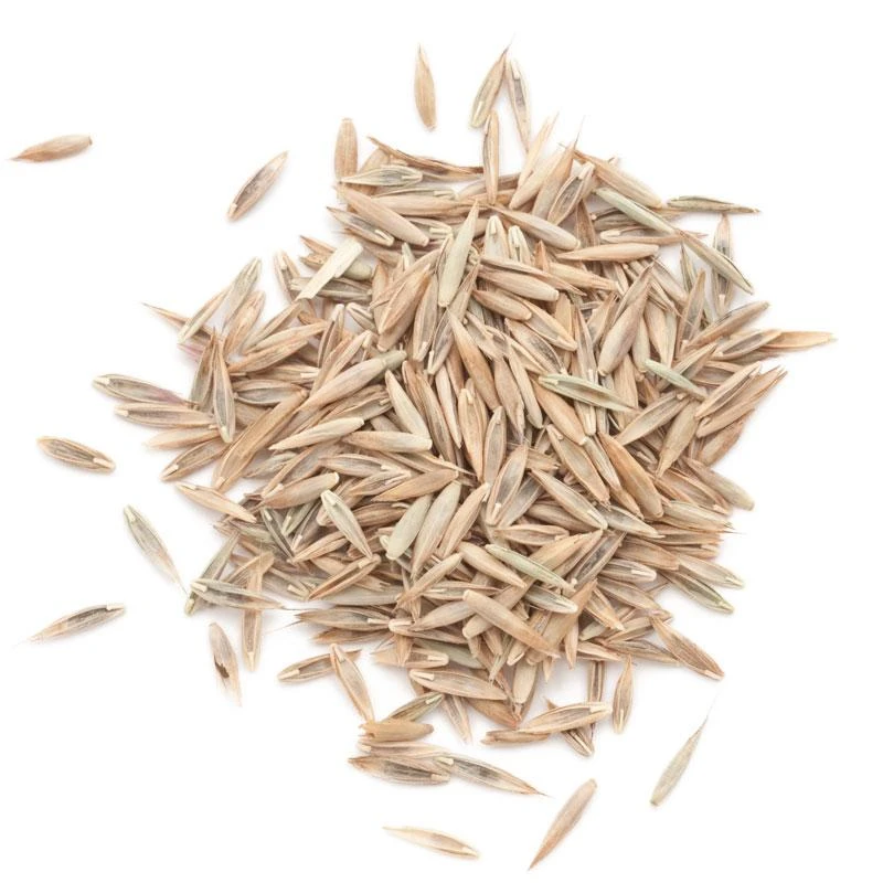 Peaceful Valley Premium Lawn Seed Mix (25 Lb Bag) 3 Peaceful Valley Premium Lawn Seed Mix (25 Lb Bag)