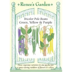 Renee's Garden Bean Pole Tricolor Green Yellow & Purple