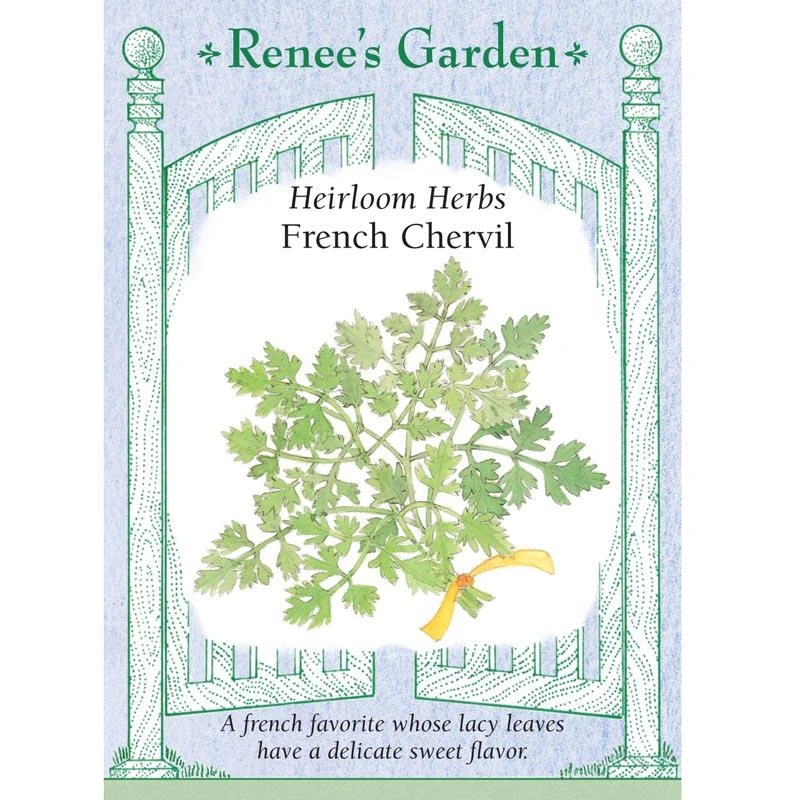 Renee's Garden Chervil French (Heirloom) 3 Renee's Garden Chervil French (Heirloom)