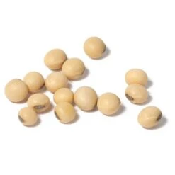 Soybeans - Raw Seed (lb) -Felo Butik scl860 cat