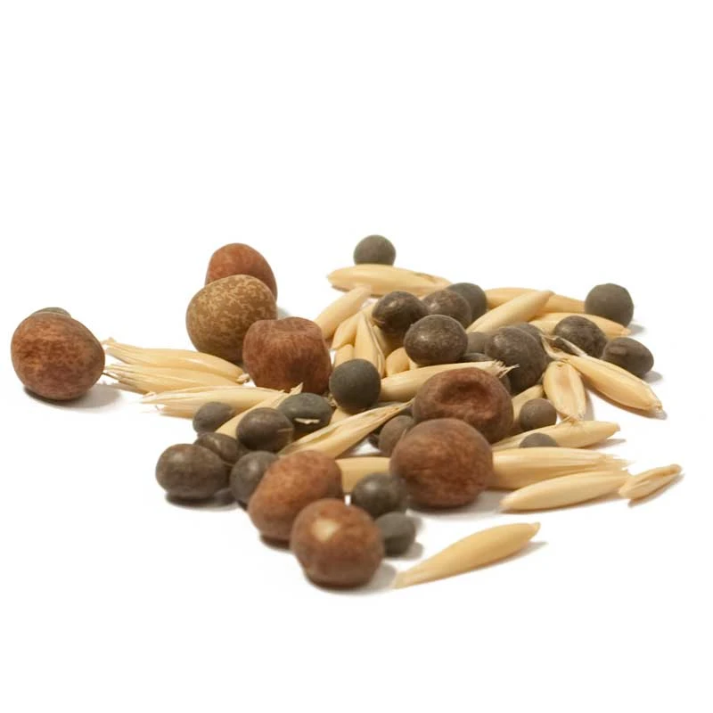 Peaceful Valley Legume Oat Mix #2 - Raw Seed (lb) 5 Peaceful Valley Legume Oat Mix #2 - Raw Seed (lb) - Billede 3