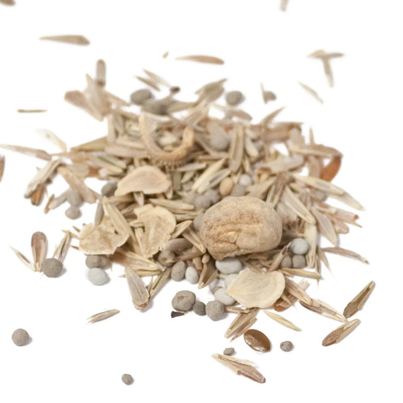 Peaceful Valley Premium Erosion Mix - Nitrocoated Seed (lb) 4 Peaceful Valley Premium Erosion Mix - Nitrocoated Seed (lb) - Billede 2