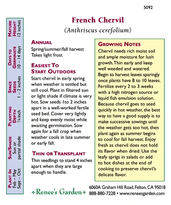 Renee's Garden Chervil French (Heirloom) 5 Renee's Garden Chervil French (Heirloom) - Billede 3