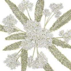 Yarrow, White (1/4 Lb)